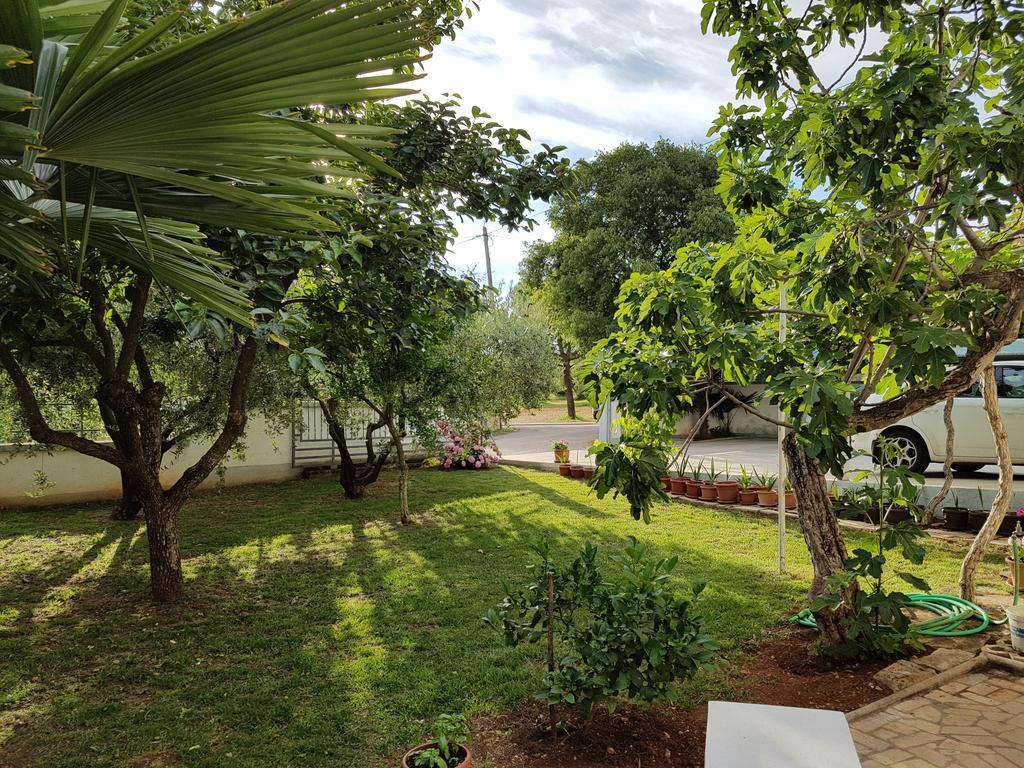 Villa Rosa With Yard And Children'S Playground Tar-Vabriga Εξωτερικό φωτογραφία