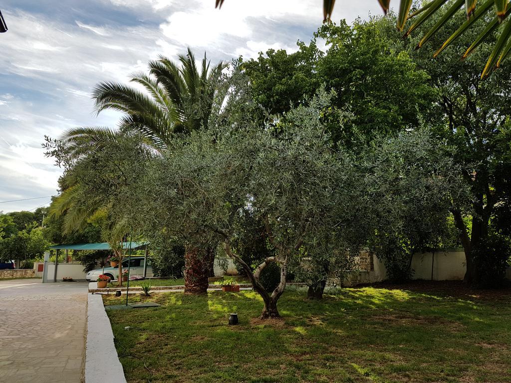 Villa Rosa With Yard And Children'S Playground Tar-Vabriga Εξωτερικό φωτογραφία